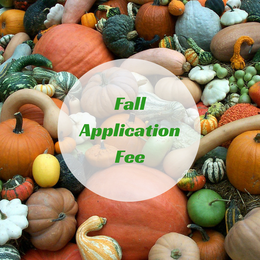 how much is the application fee for the form ds 260
